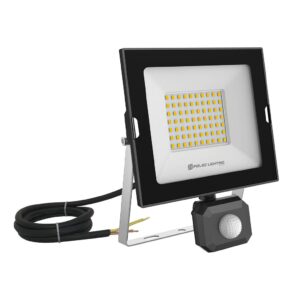 50W Oober LED IP65 Sensor Floodlight