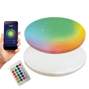 QuRi LED Smart Round Ceiling Light + Remote