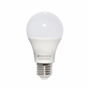 A60 LED Bulb